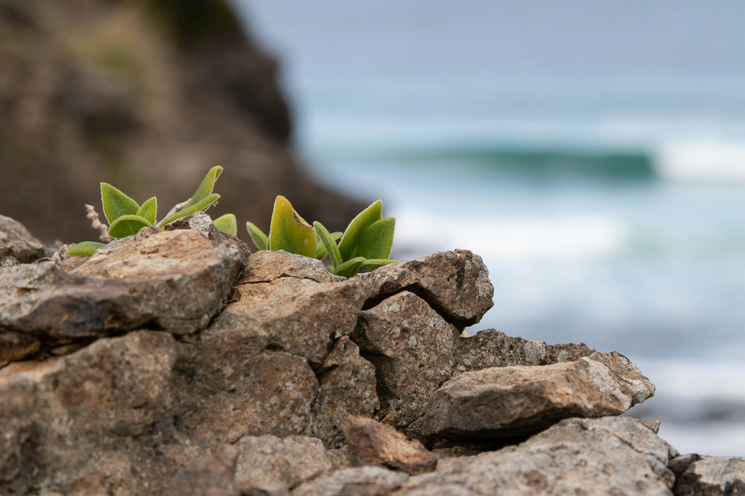 Adaptability